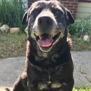 Meet your Posher, Sabrina